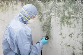 Forensic Mold Investigation in Henderson, NV